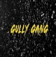 DIVINE - Gully Gang Mp3 Song Download